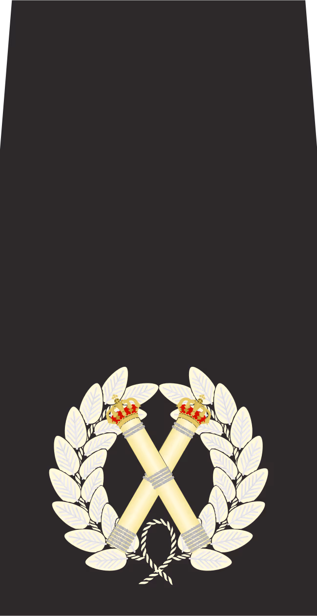ACC emote