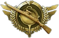 pubgrank6 emote