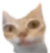 er emote