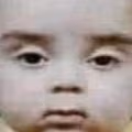 what_1 emote