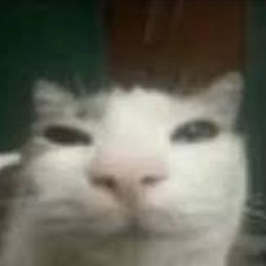 viilikk avatar