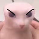 BingusAngry emote