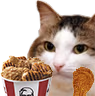 kiisu_kfc emote
