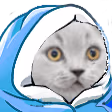 CatBlanket emote