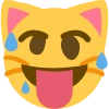 woozycat emote