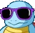 Squirtle_Hype emote