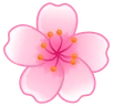 sakura_flower emote