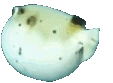 Puffy emote