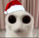 DOYOUFEELTHEWEIGHTOFYOURSINSDOESITHURTDOESGODSJUDGEMENTFILLYOUWI emote