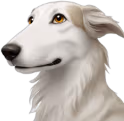 borzoi emote