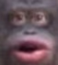 woooh emote