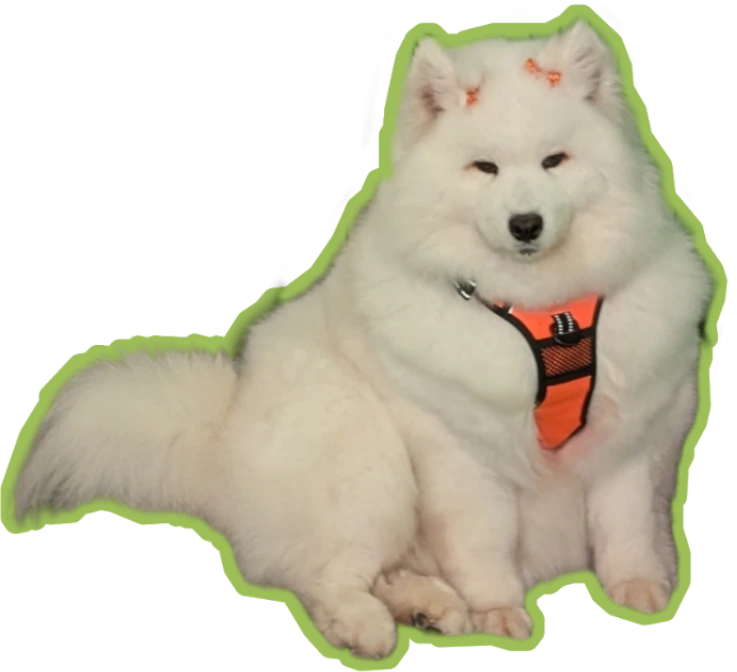 Thistledoge emote