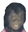 MonkeyMike emote