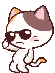 Meong_Cool emote