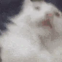 LETSGOO emote