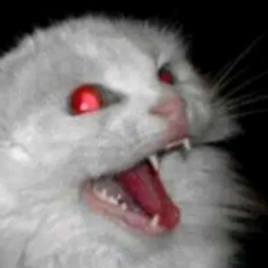 kaetnn avatar