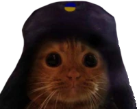 ushanka_cat emote