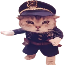 catCop emote