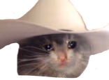 PartnerIReckonIAintBeenFeelingVeryYeehawLately emote