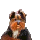 bbnotL emote