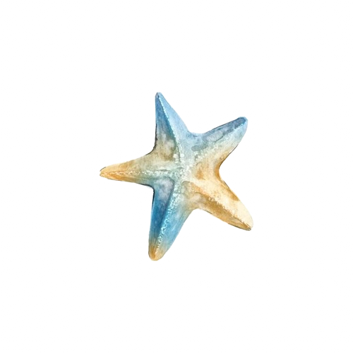starfish emote