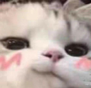 3 static emote