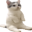 catpissingverycomfortable animated emote