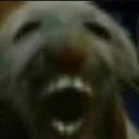 dxx emote