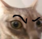 raisedEyebrow emote