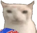 catMunch emote