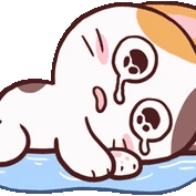 Meong_Cry emote
