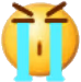 wechat_sob emote