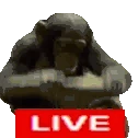 GOLIVE emote