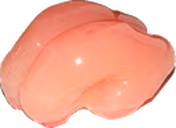smoothBrain emote