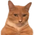 MEWING emote