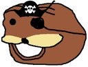 pirate_benis emote