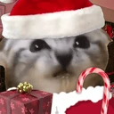 moremas emote