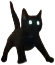 cat_spook emote