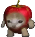 Applecatwait emote