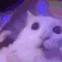 IveGonePastThePointOfInsanity emote
