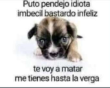 putopendejoidiotaimbecilbastardoinfeliztevoyamatarmetieneshastal