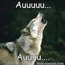 AUU static emote