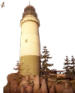 bay emote