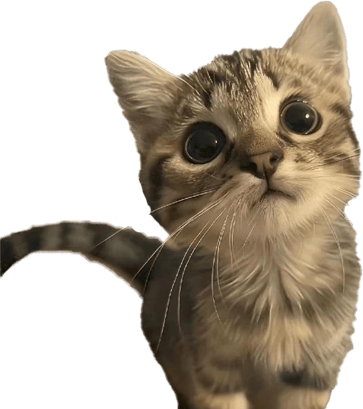 Cutey emote