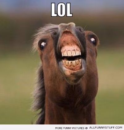 HorseLOL emote