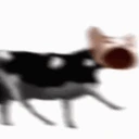 Polishbop emote
