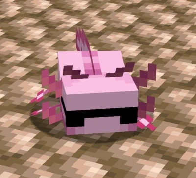 AxolotlHuff emote