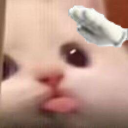 bla7 static emote