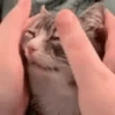 SquishAlright animated emote