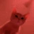 kittyVibe emote